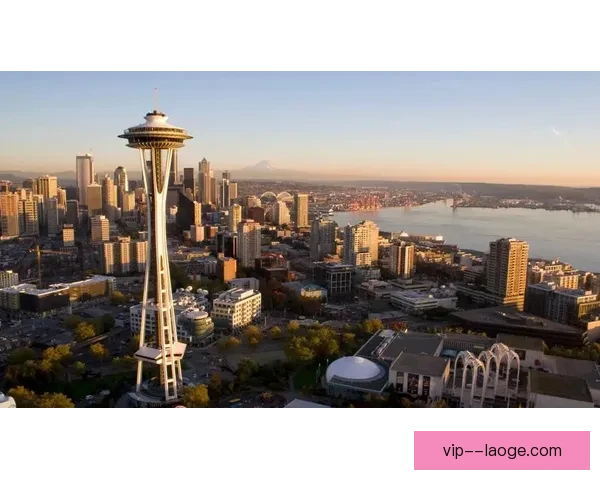 2026世界杯期间多伦多将新增数十条公交专线提升出行便利